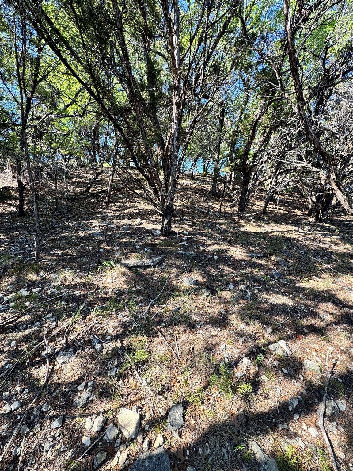 7921 Folklore Circle Leander TX 78645