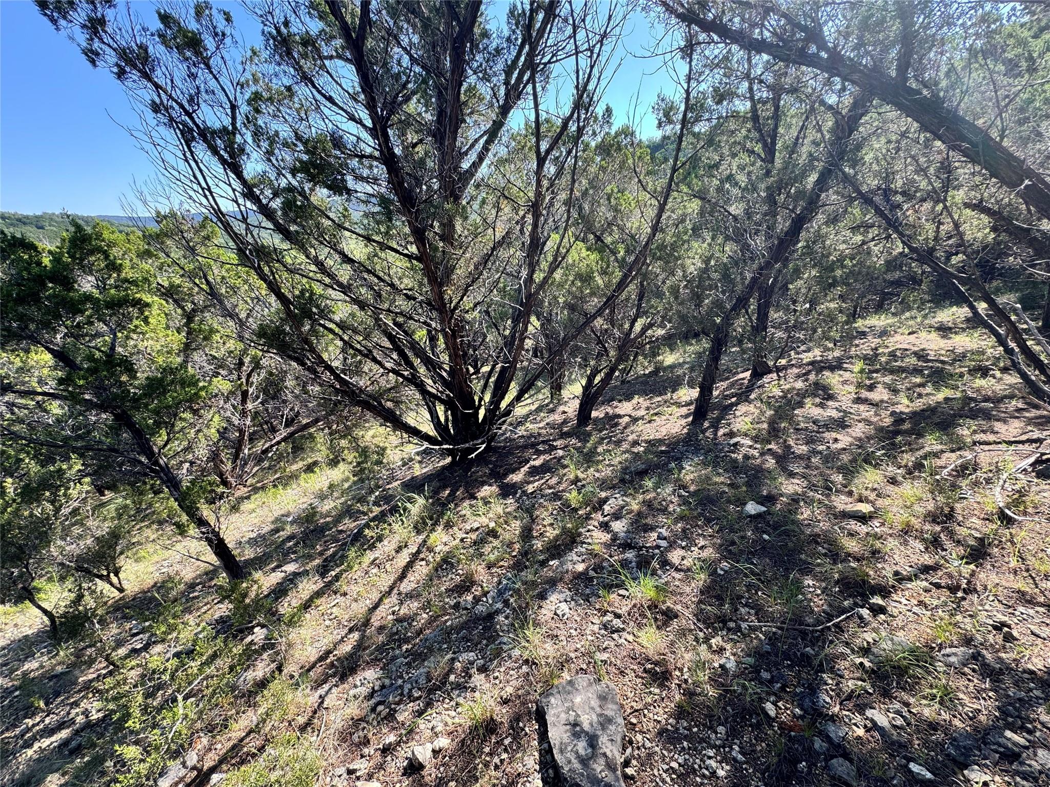 7921 Folklore Circle Leander TX 78645