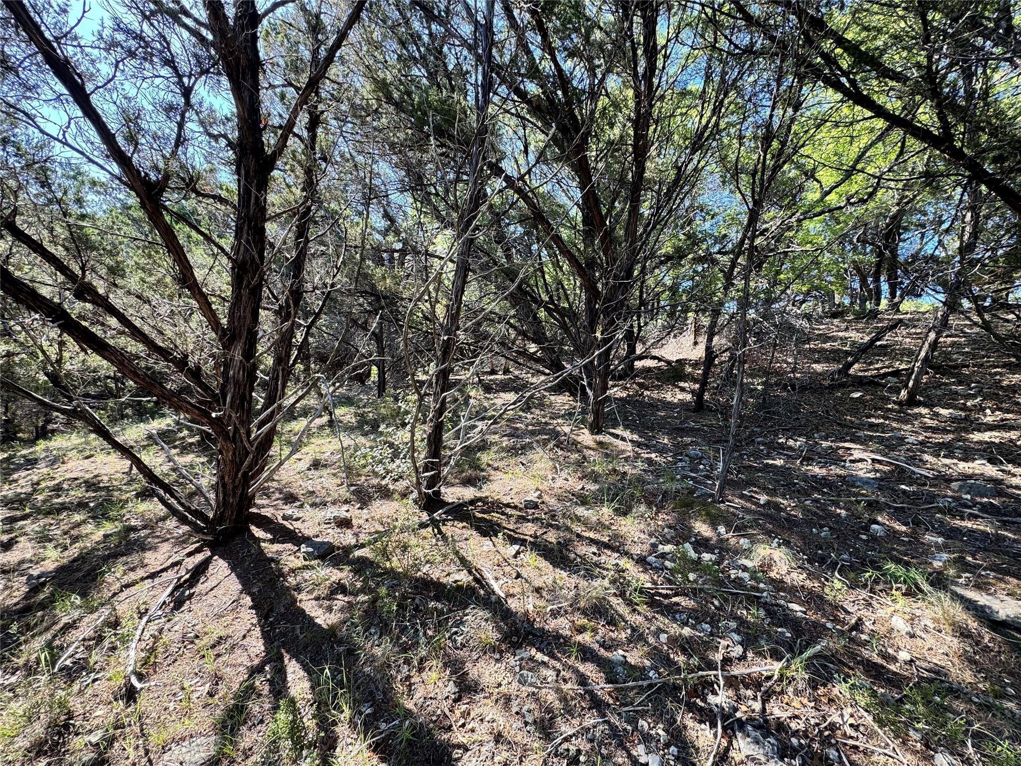 7921 Folklore Circle Leander TX 78645
