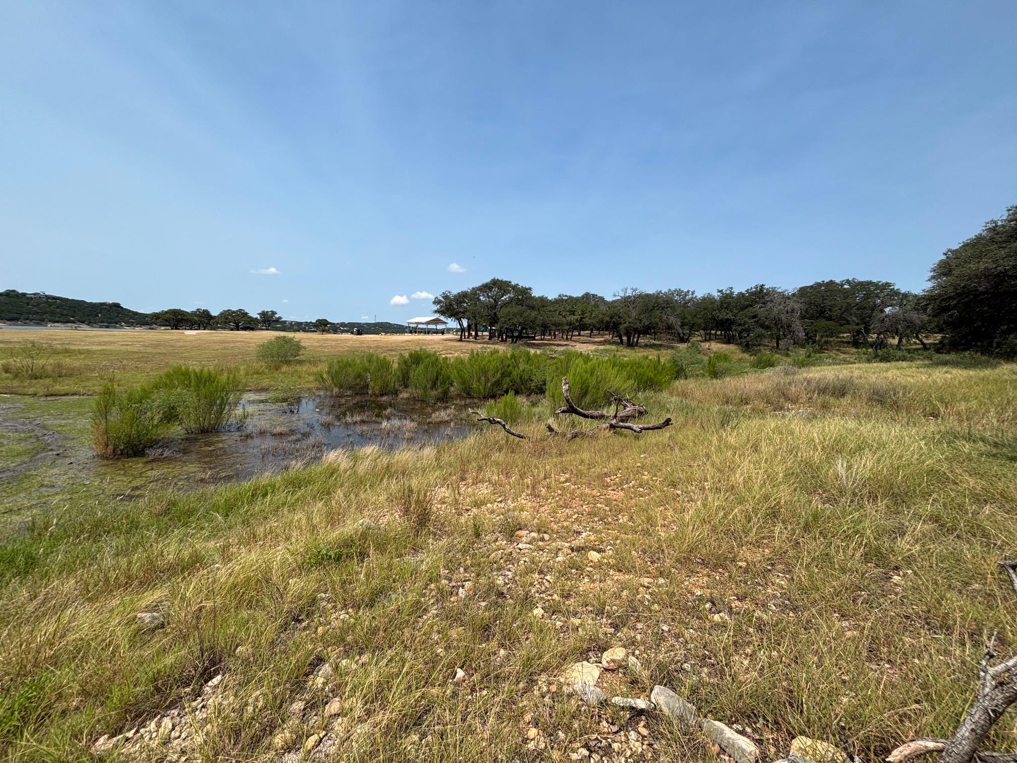 2701 Custer Cove Leander TX 78645