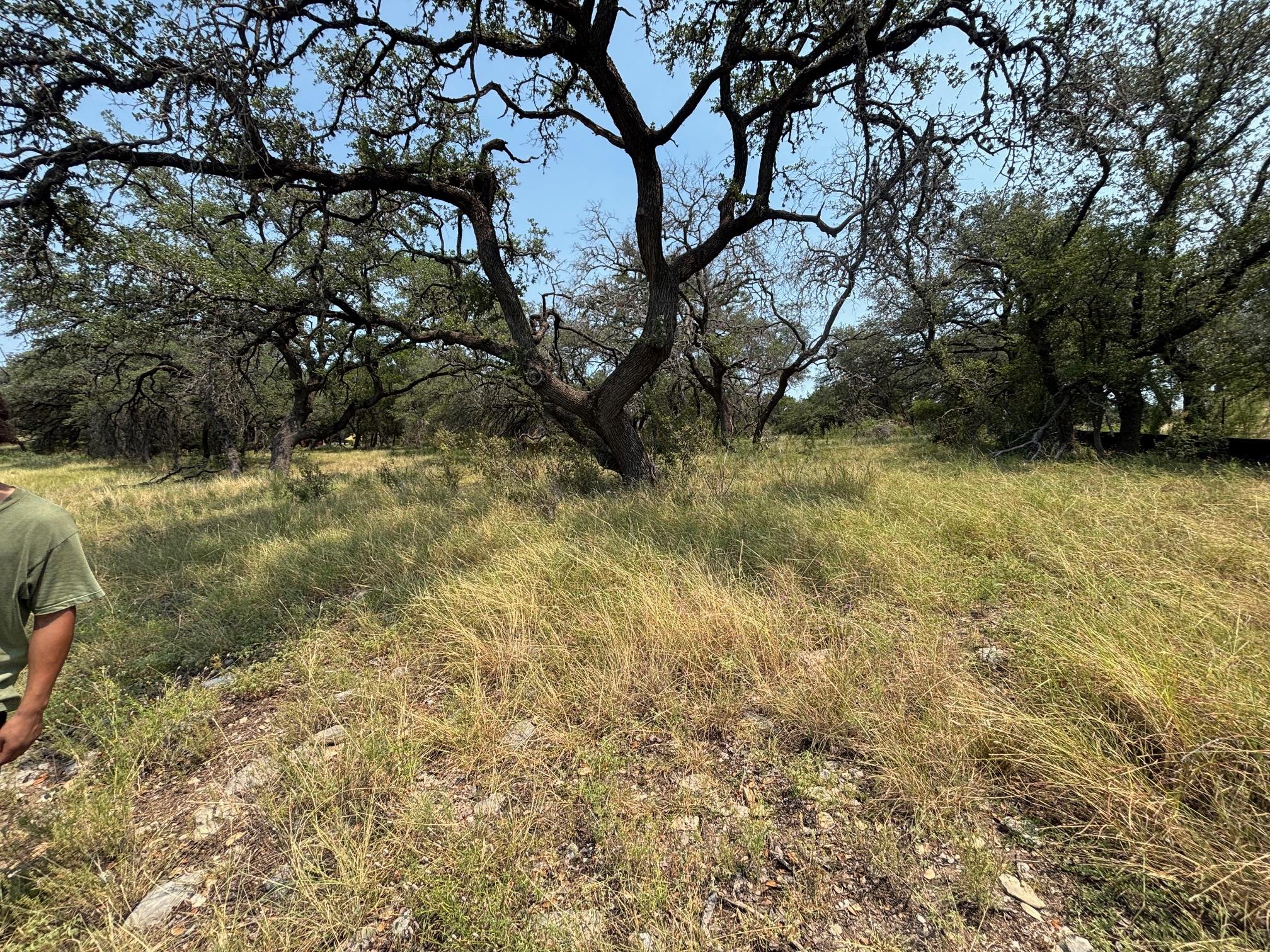 2701 Custer Cove Leander TX 78645
