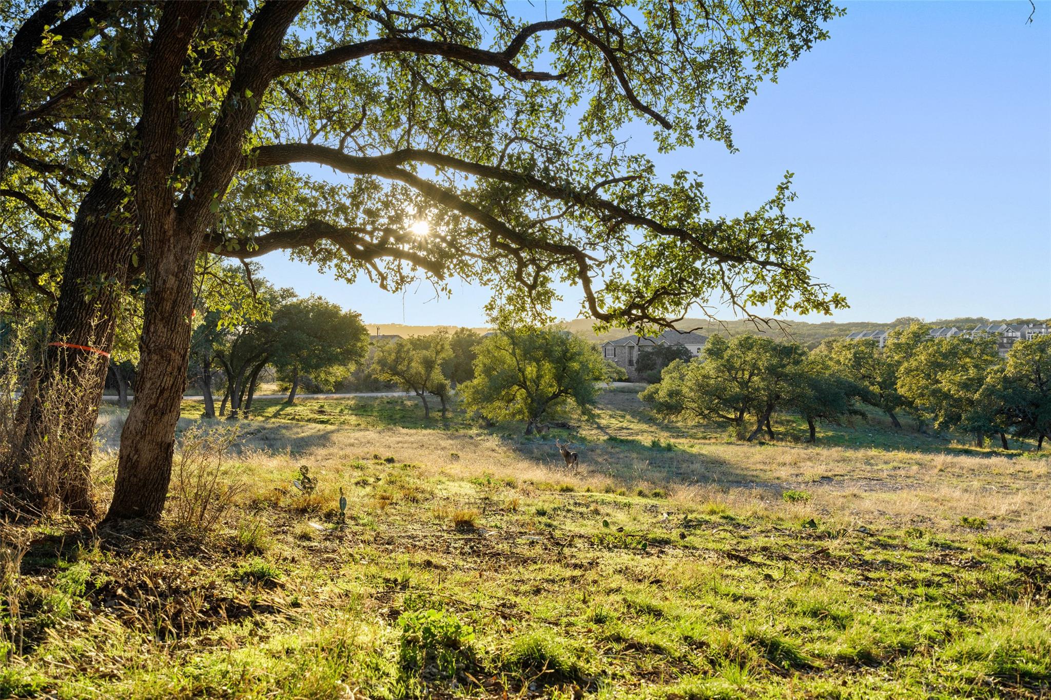 1900 Patriot Drive Lago Vista TX 78645