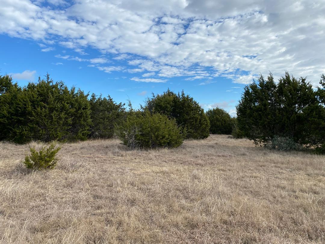Tbd County Road 106 Lampasas TX 76550