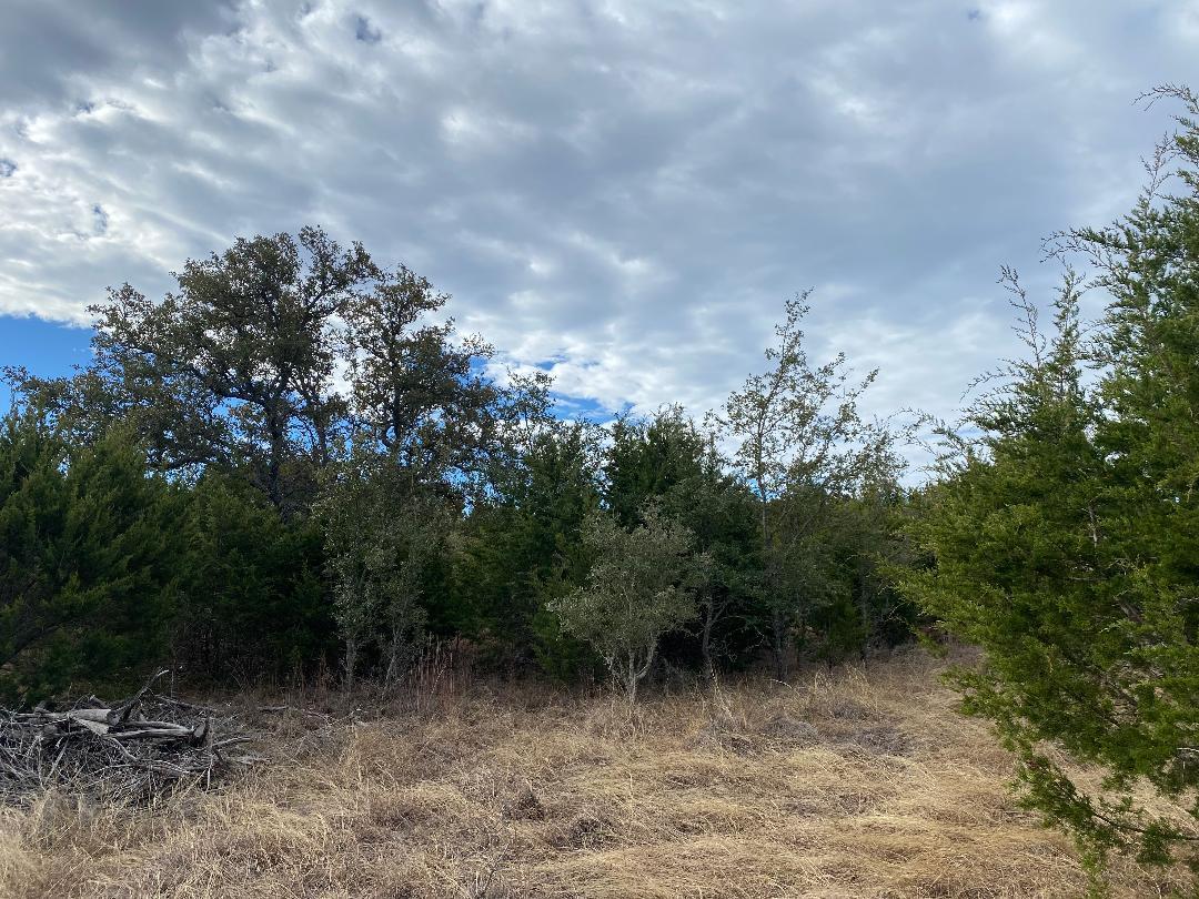 Tbd County Road 106 Lampasas TX 76550