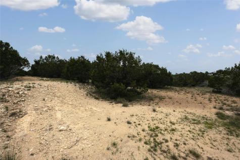 439 Vail River Road Dripping Springs TX 78620