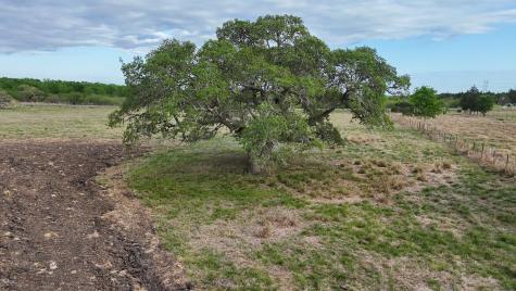 2077 East State Highway 237 Round Top TX 78954