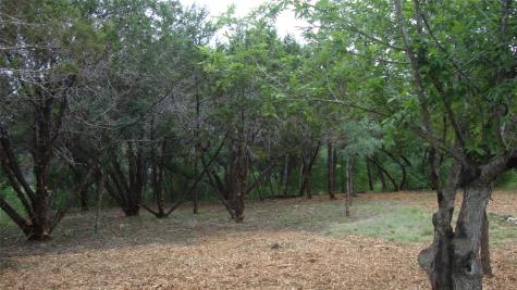 11112, 11106 Travis Drive Jonestown TX 78645
