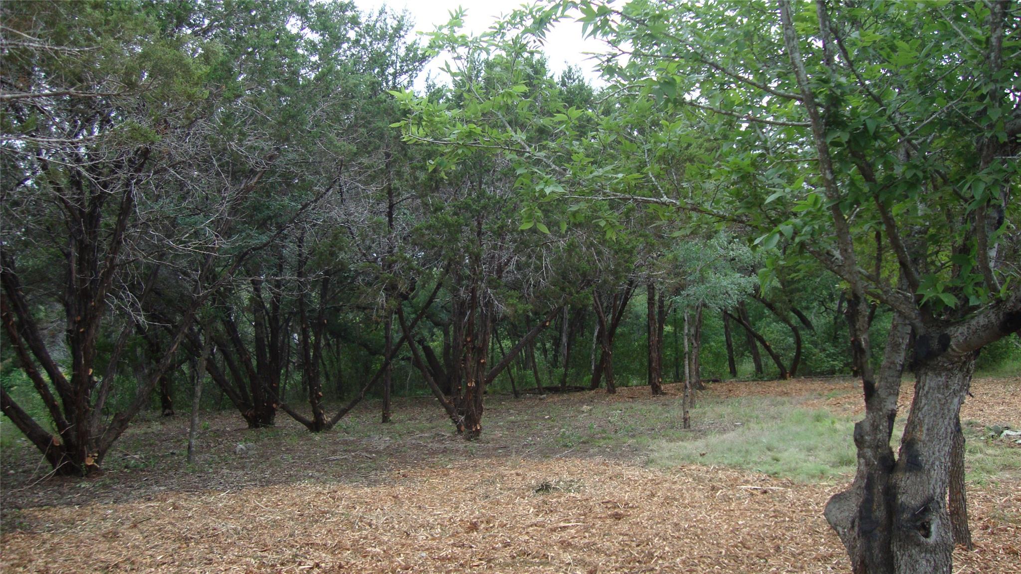 11112, 11106 Travis Drive Jonestown TX 78645
