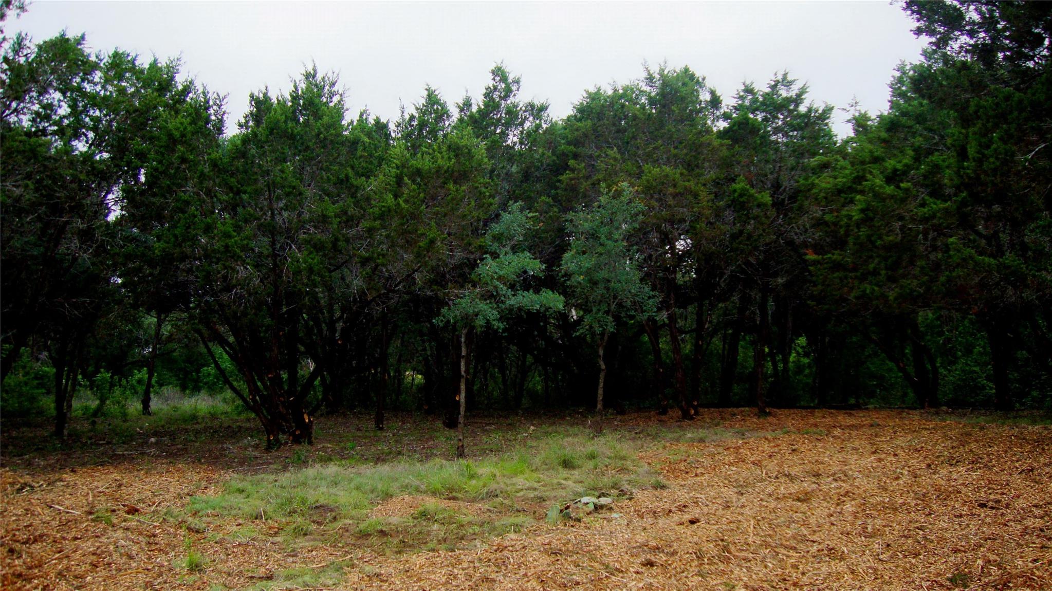 11112, 11106 Travis Drive Jonestown TX 78645
