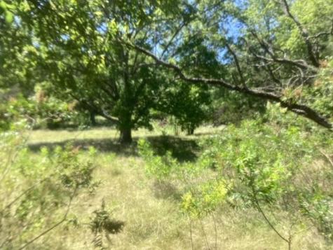 24418 Cottonwood Drive Leander TX 78641