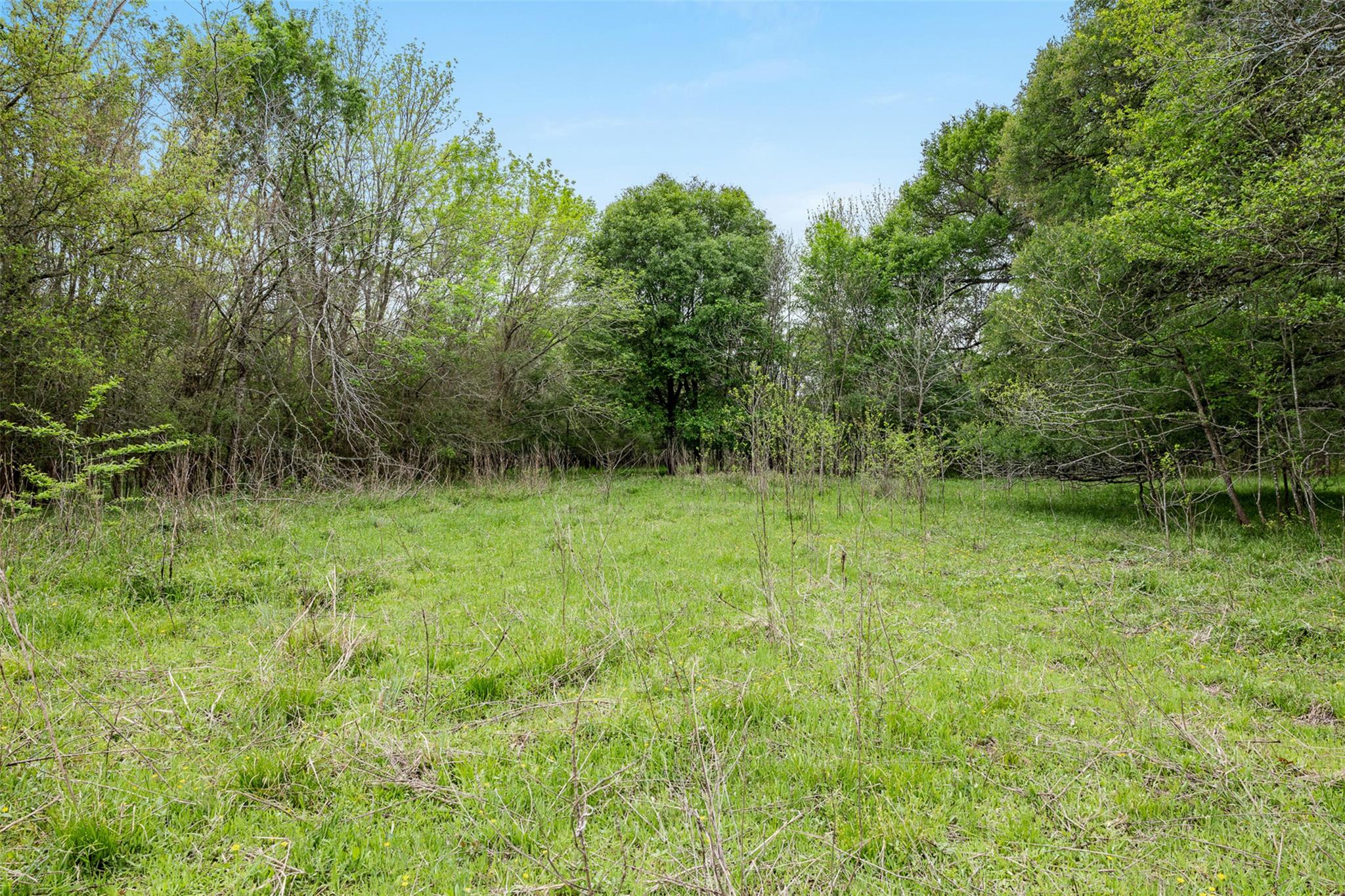 Tbd County Road 433 Dime Box TX 77853