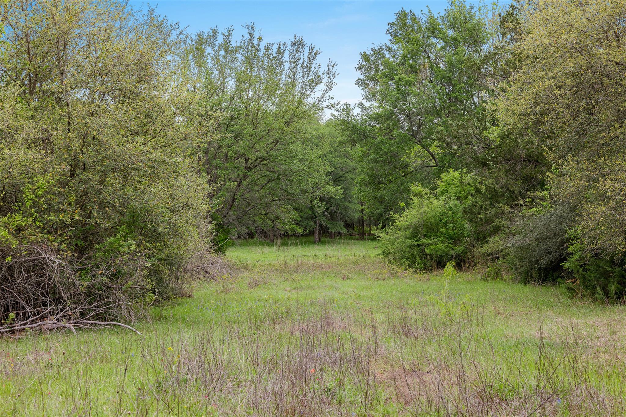 Tbd County Road 433 Dime Box TX 77853