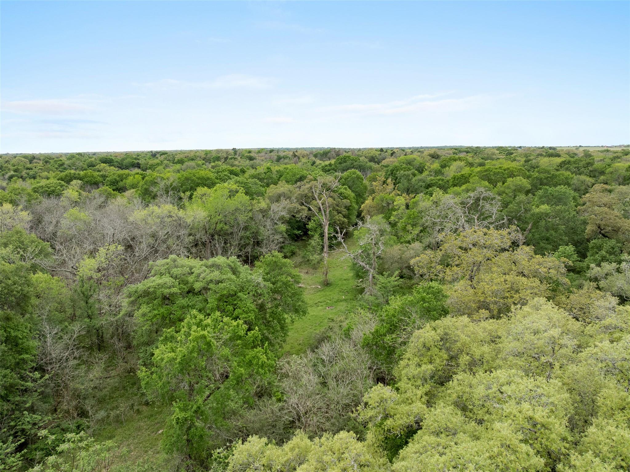 Tbd County Road 433 Dime Box TX 77853