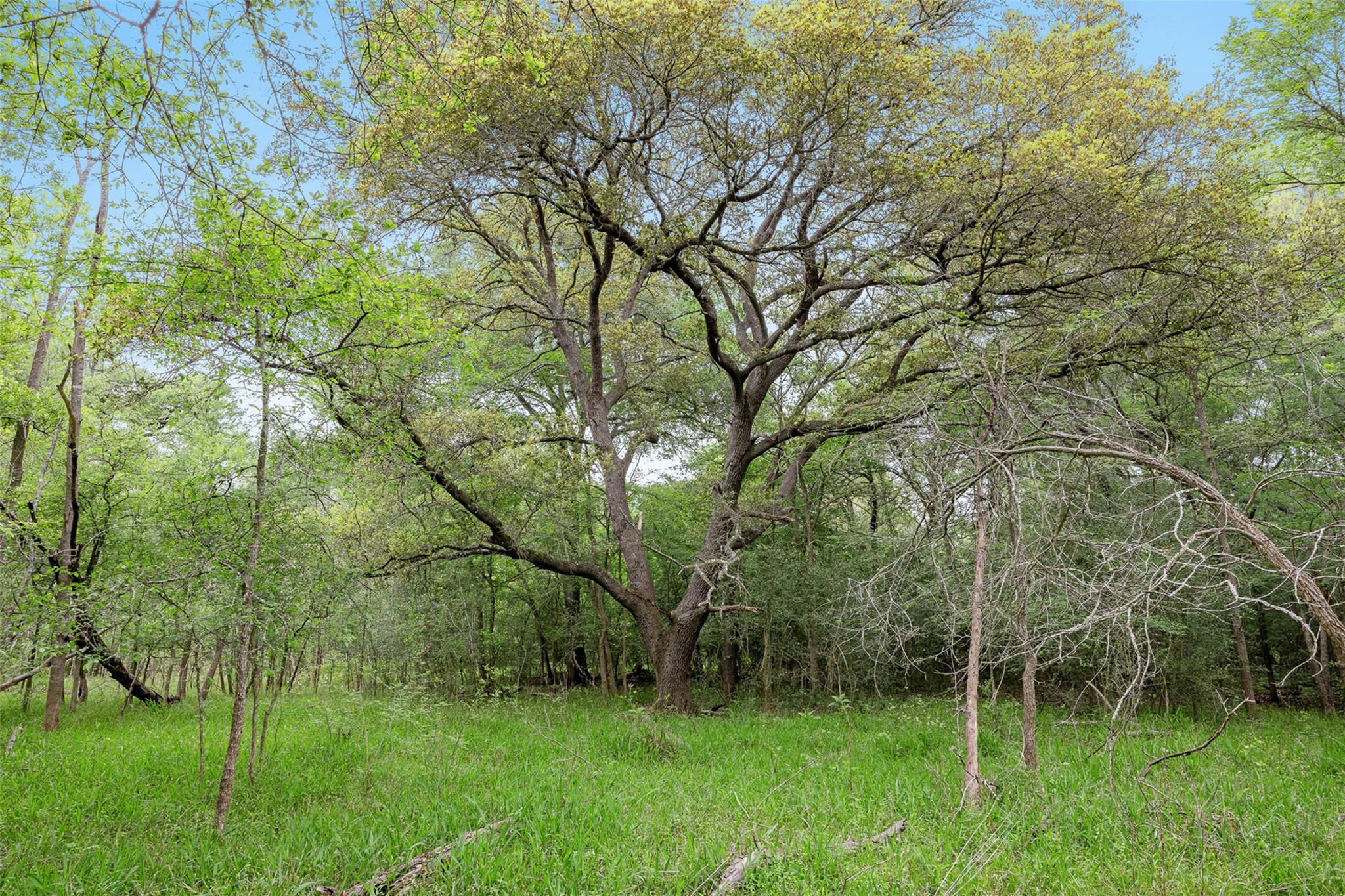 Tbd County Road 433 Dime Box TX 77853