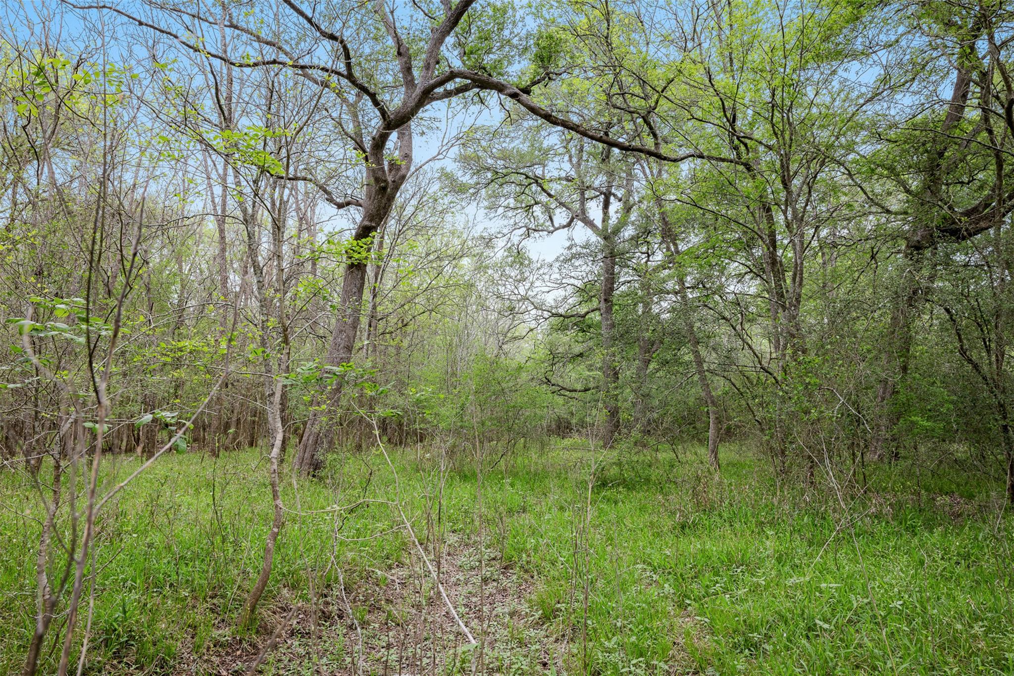 Tbd County Road 433 Dime Box TX 77853