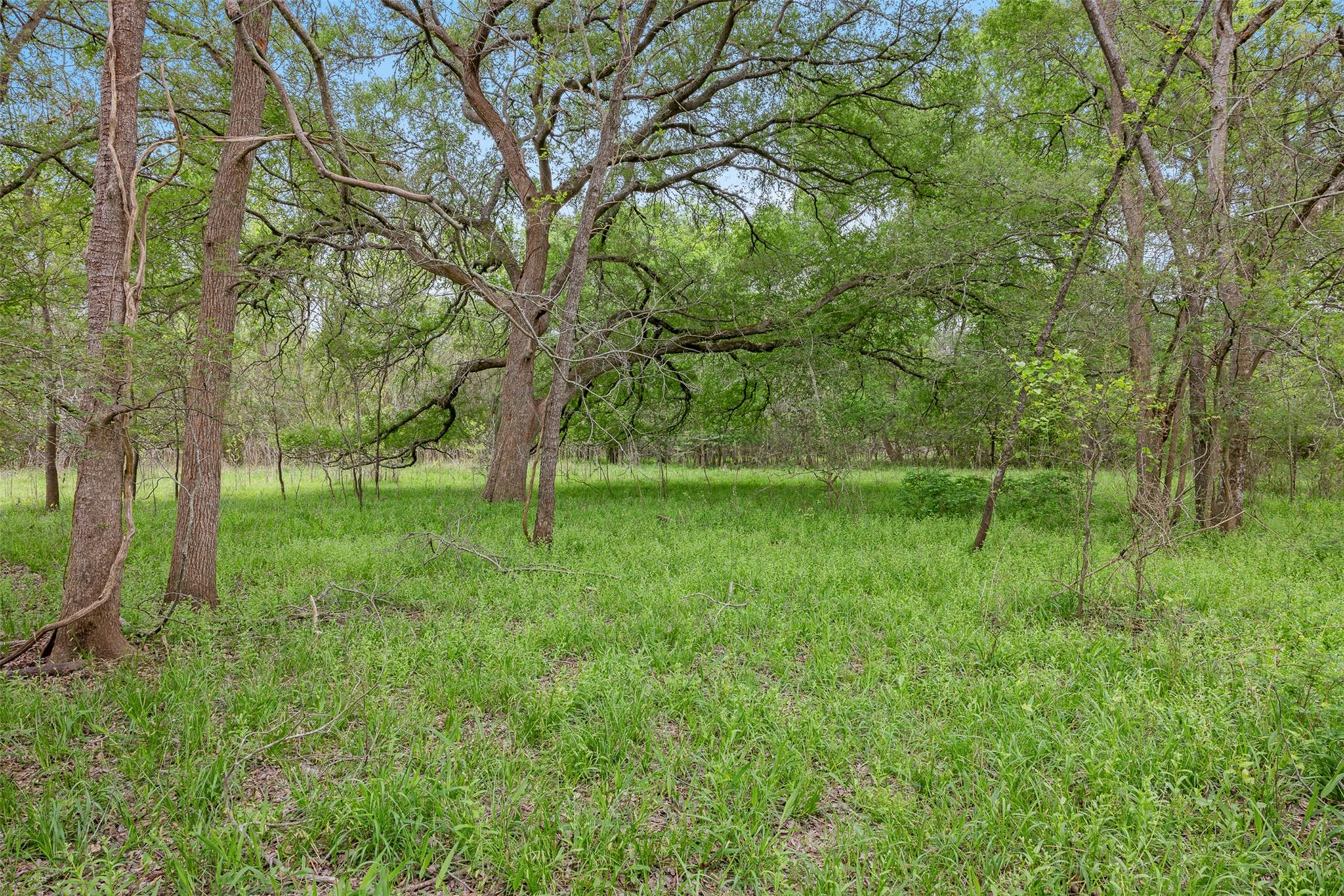Tbd County Road 433 Dime Box TX 77853