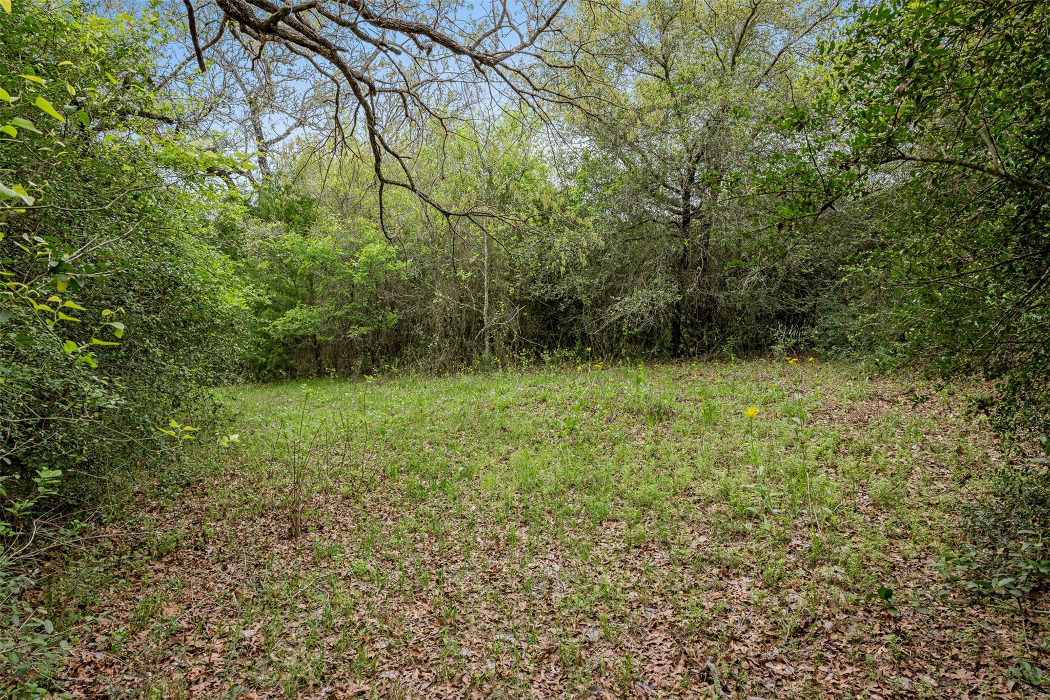 Tbd County Road 433 Dime Box TX 77853