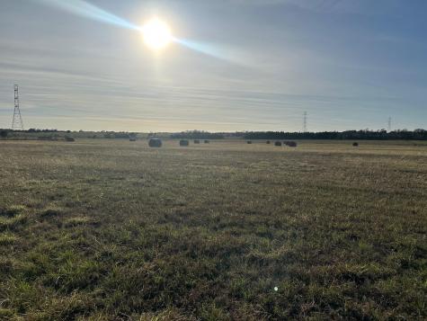 8038 Ohnheiser Kaase Road La Grange TX 78945