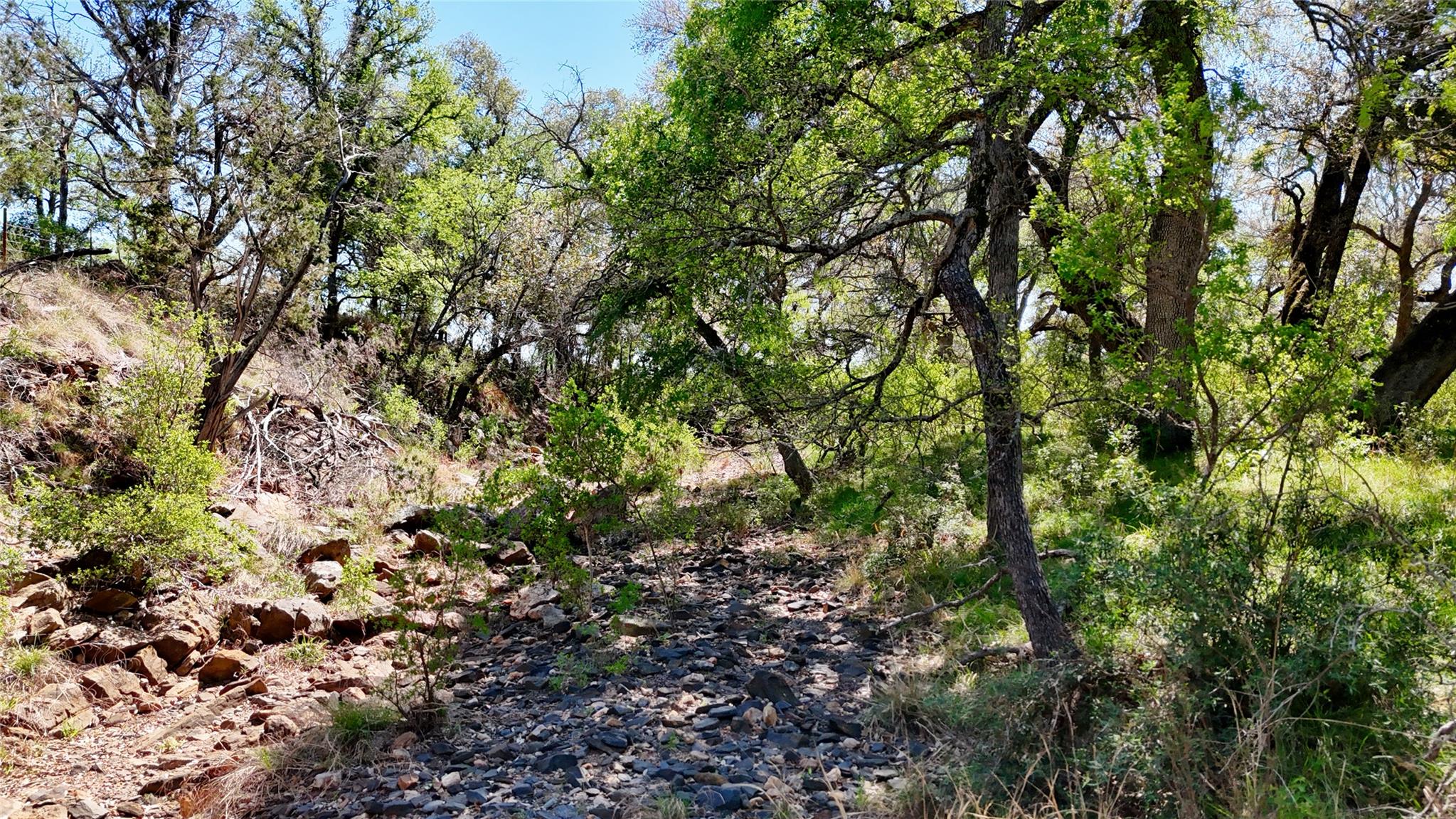 Tbd Fm 2233 Llano TX 78643