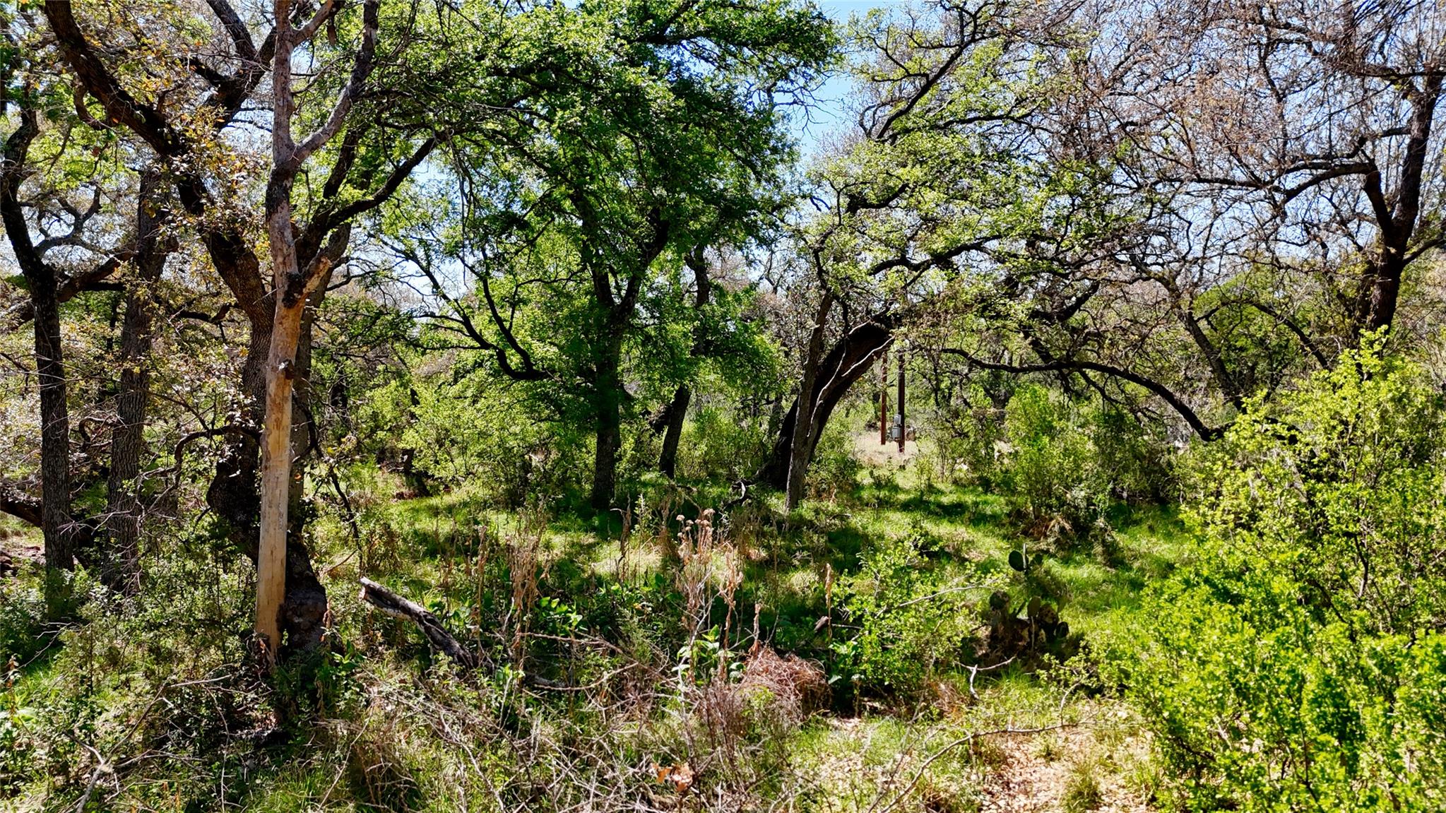 Tbd Fm 2233 Llano TX 78643