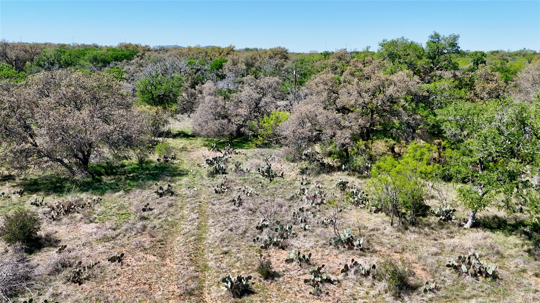 Tbd Fm 2233 Llano TX 78643