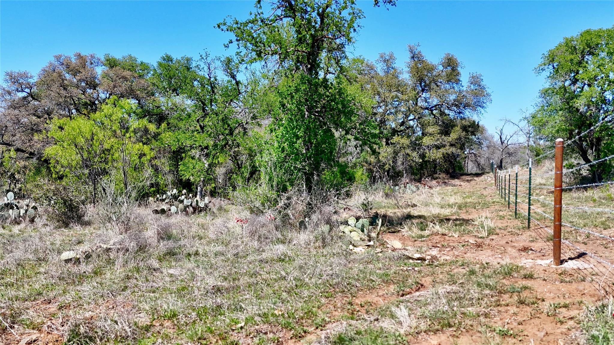 Tbd Fm 2233 Llano TX 78643