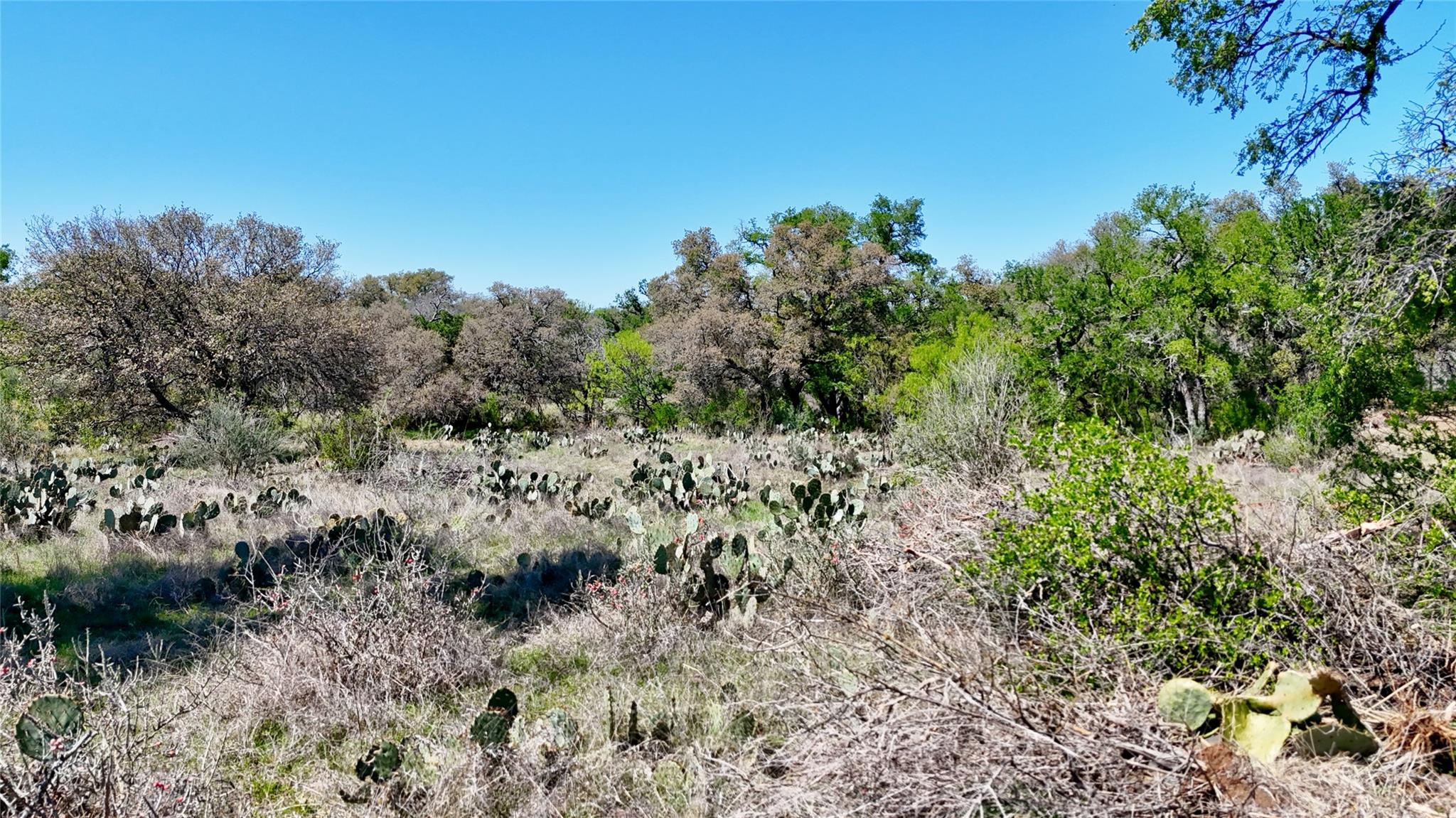 Tbd Fm 2233 Llano TX 78643