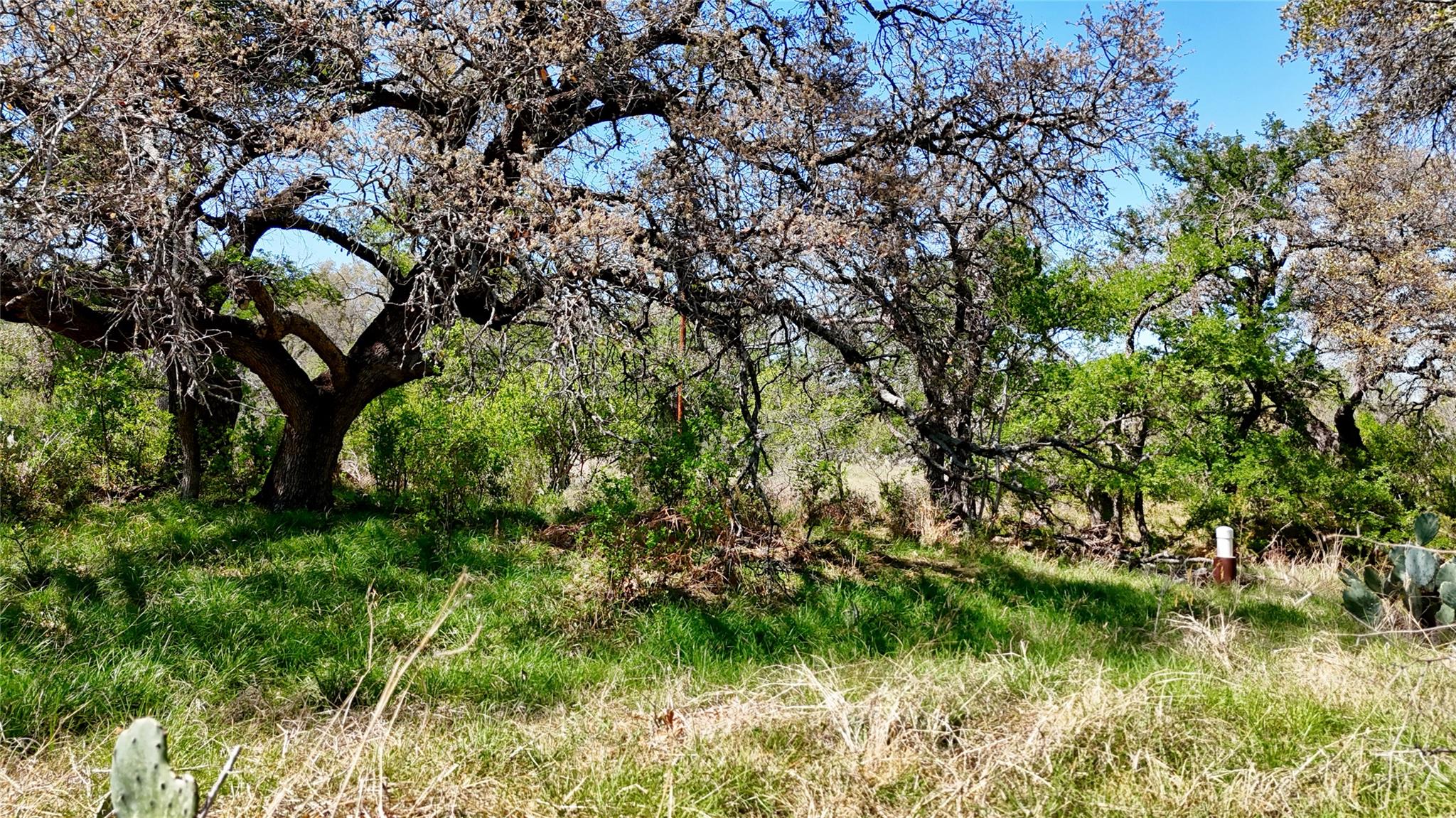 Tbd Fm 2233 Llano TX 78643