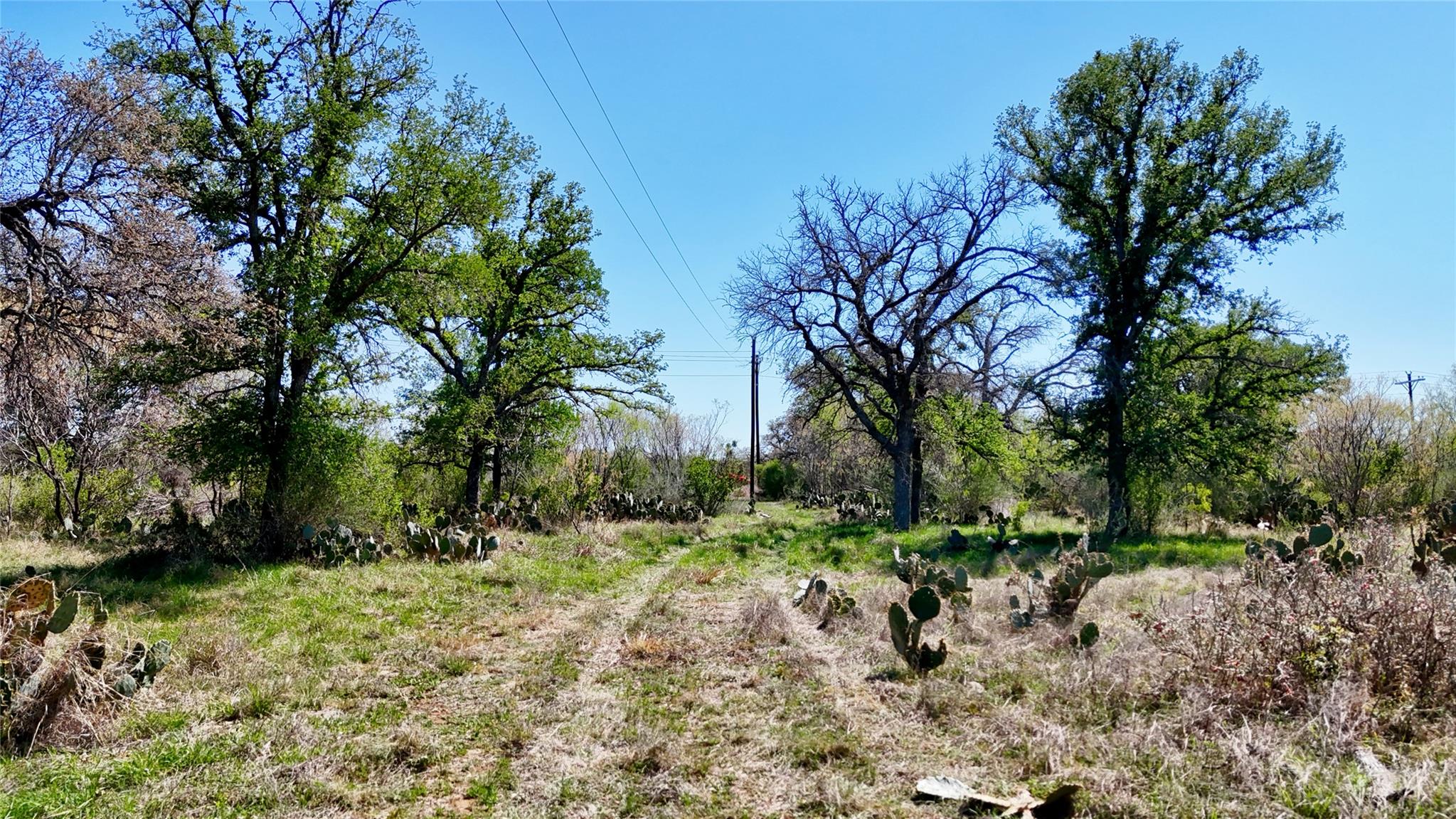 Tbd Fm 2233 Llano TX 78643