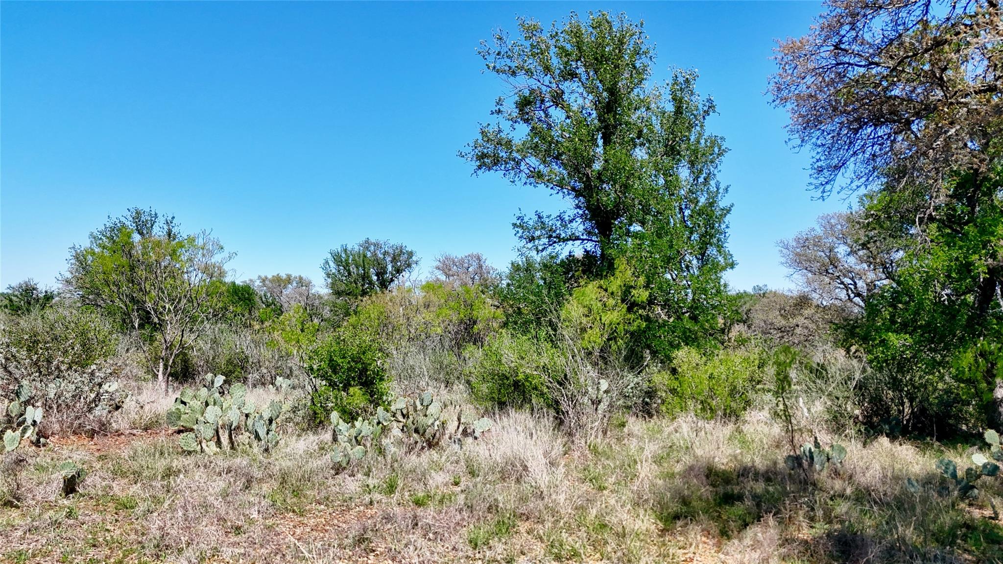 Tbd Fm 2233 Llano TX 78643