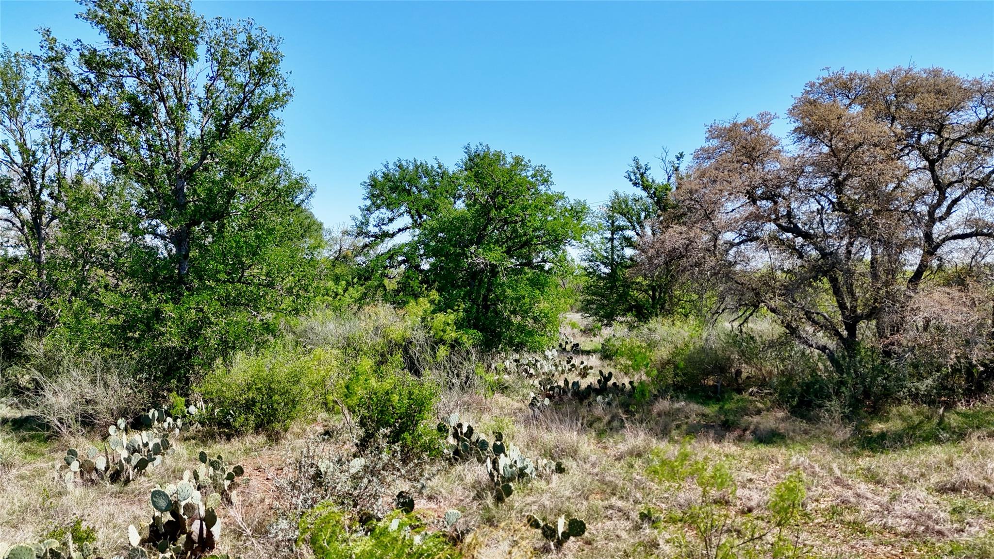 Tbd Fm 2233 Llano TX 78643