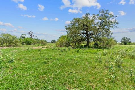 Lot 21 County Road 402 Flatonia TX 78632