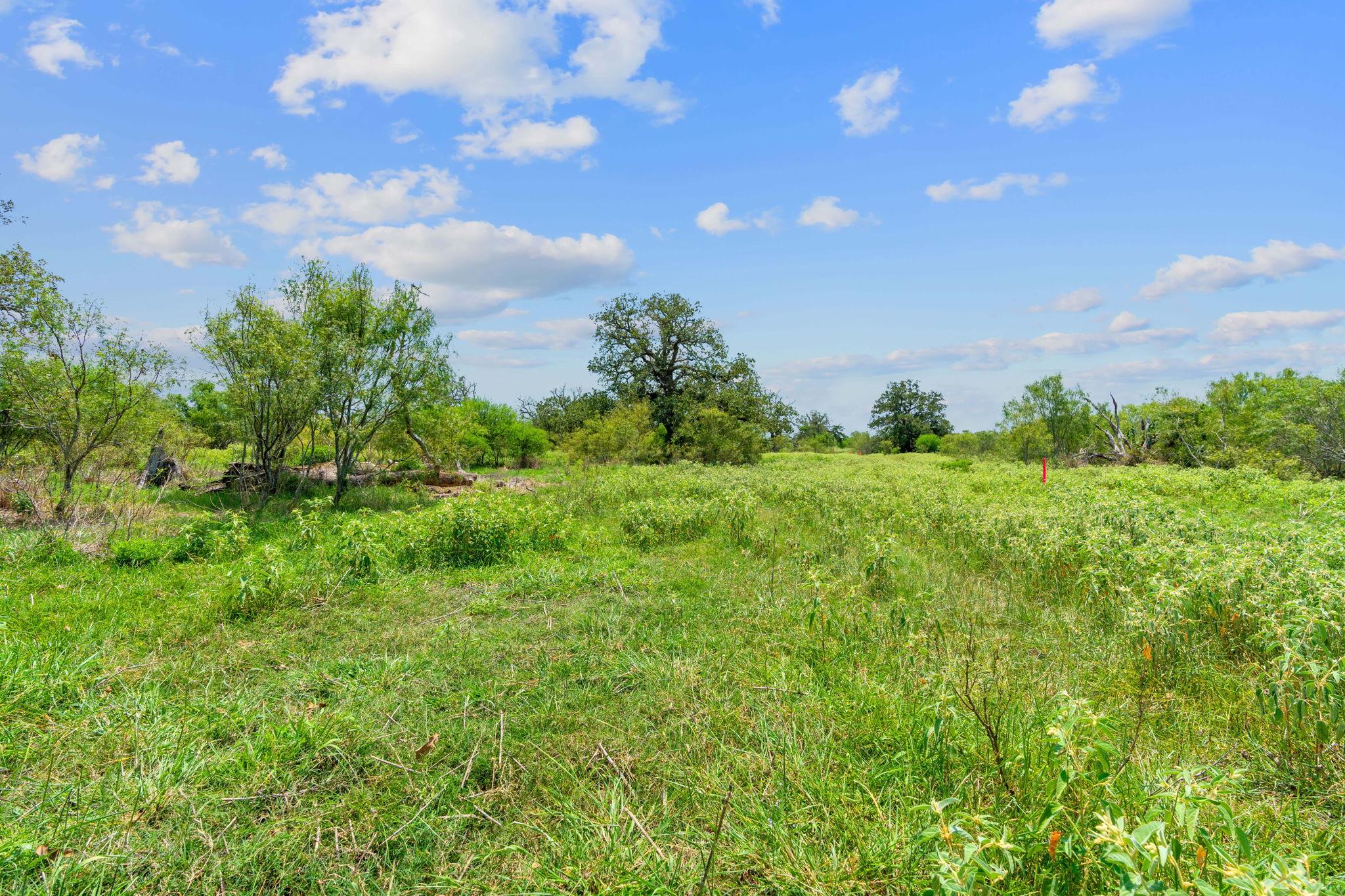 Lot 21 County Road 402 Flatonia TX 78632