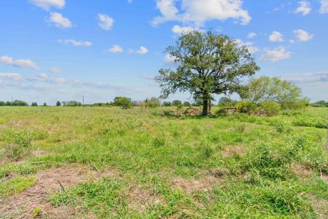 Lot 21 County Road 402 Flatonia TX 78632