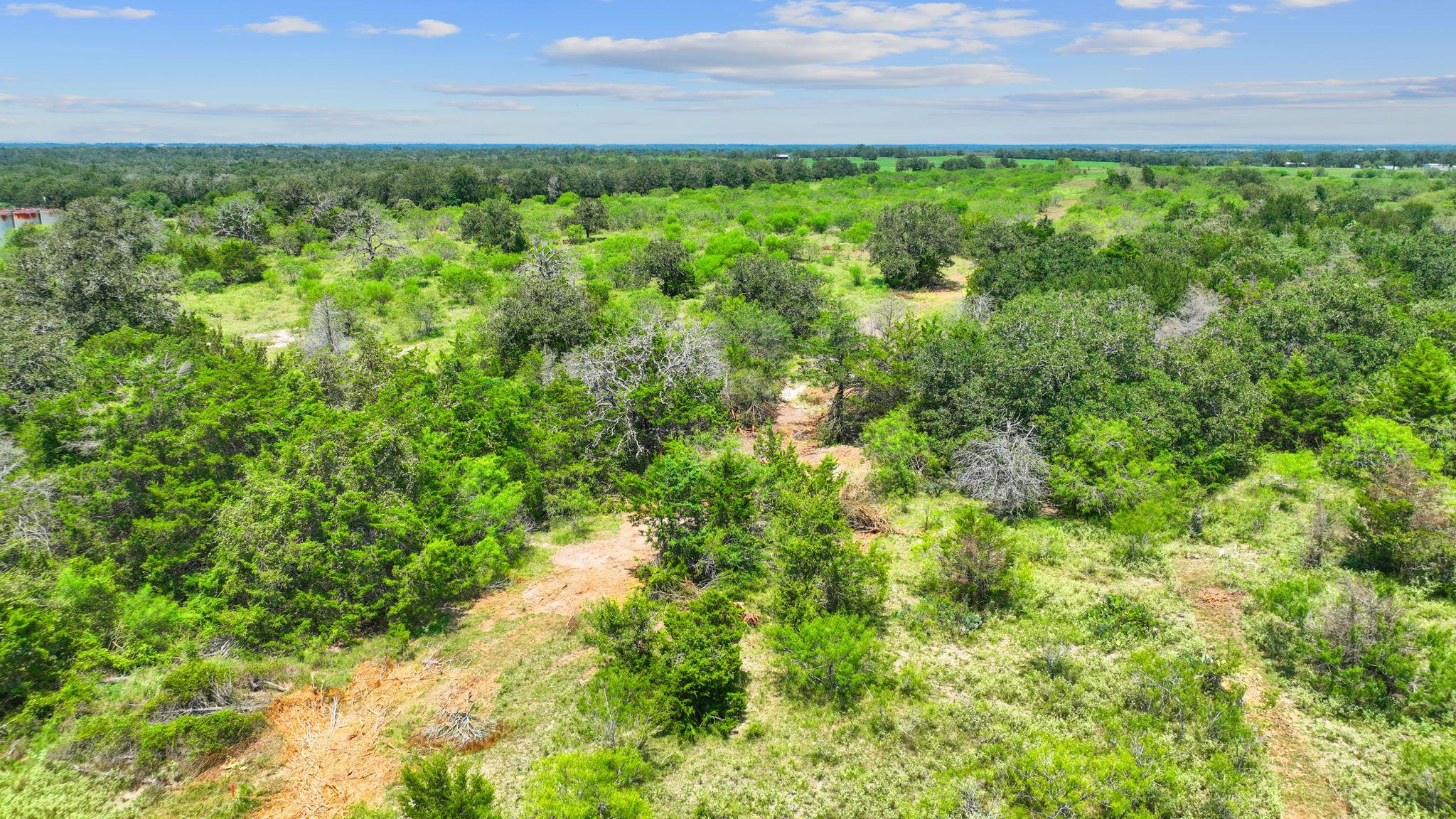 Lot 21 County Road 402 Flatonia TX 78632