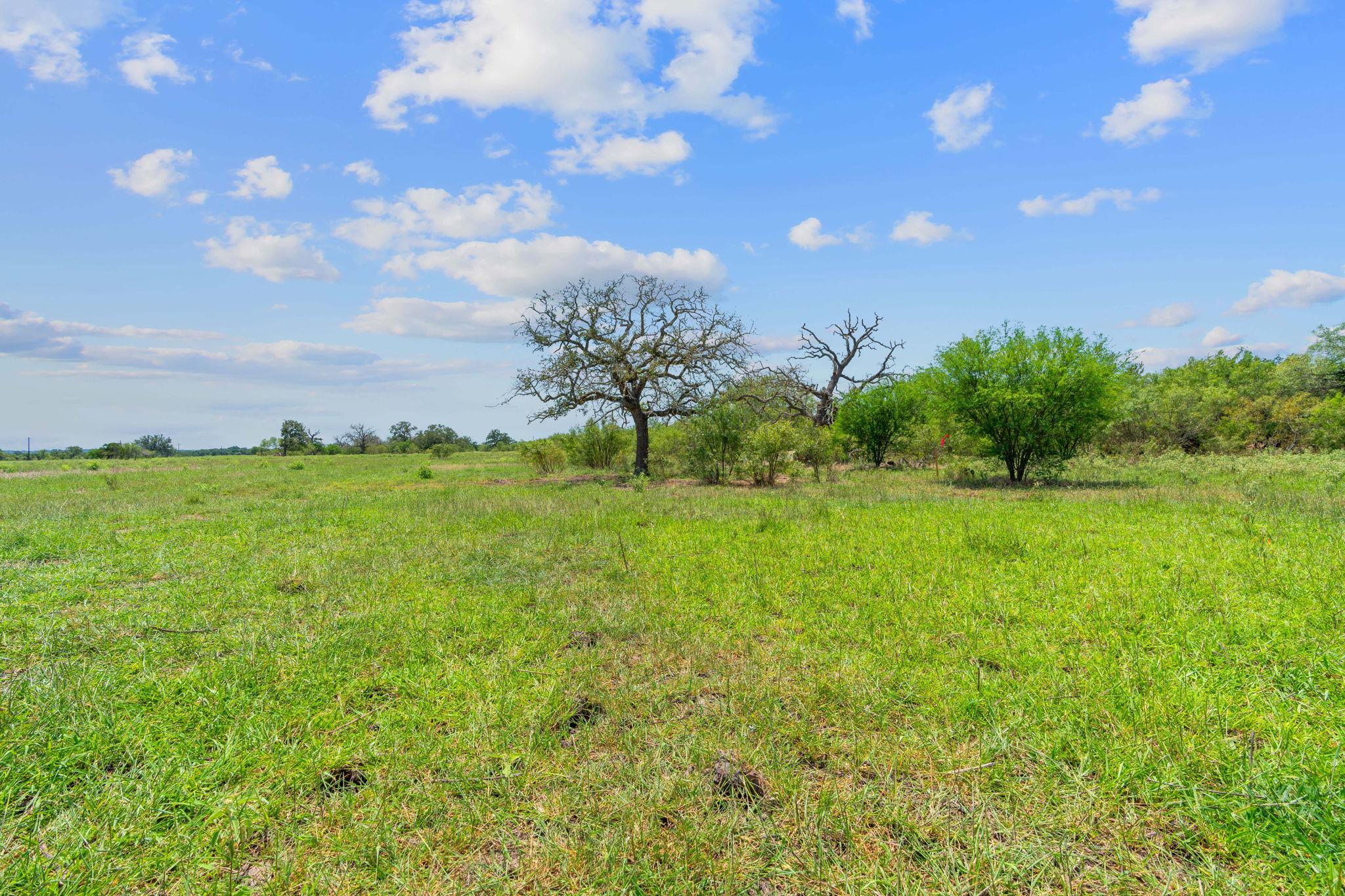 Lot 21 County Road 402 Flatonia TX 78632