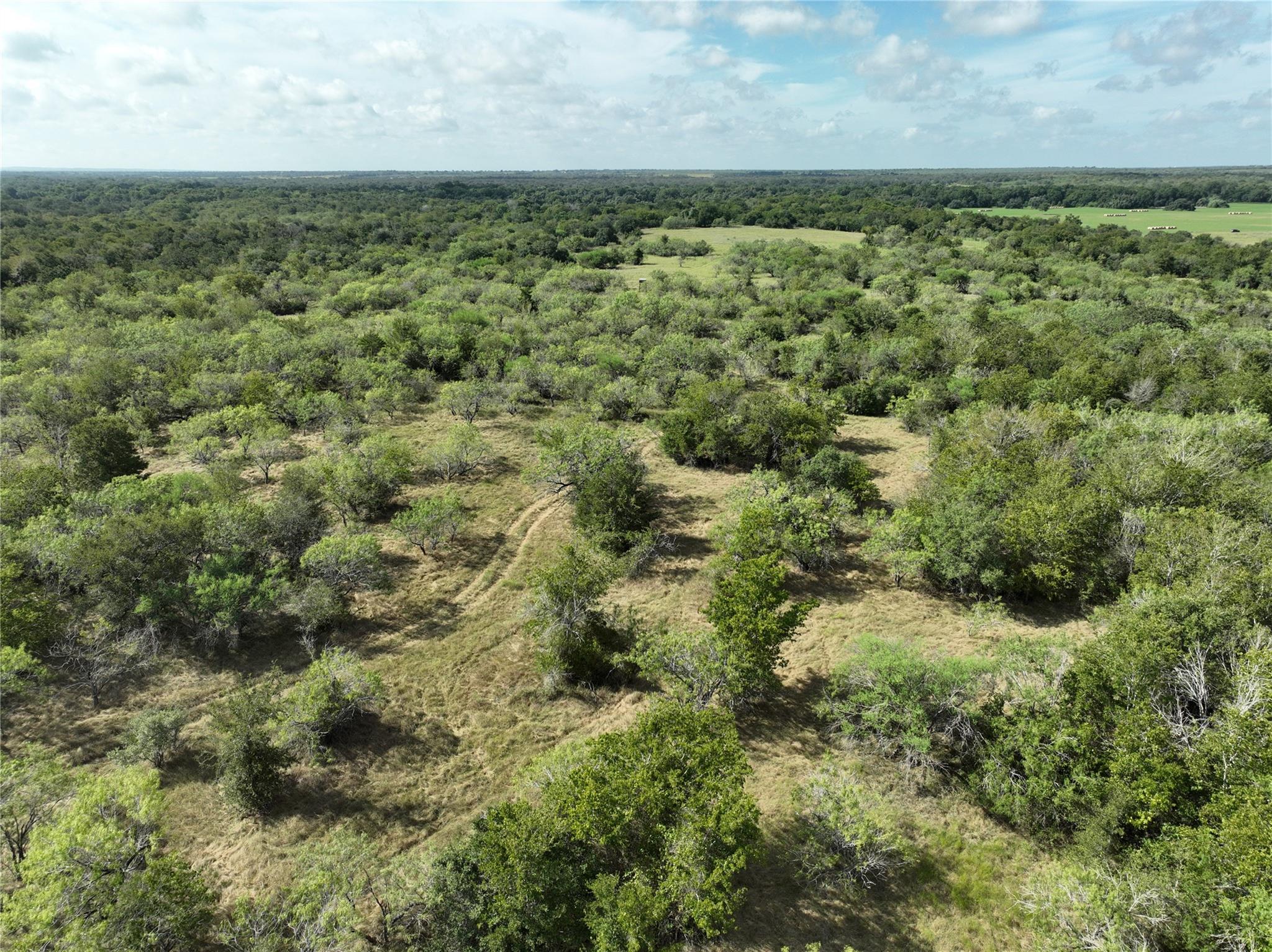 Tbd Lot 7 Cr 424 Road Waelder TX 78629