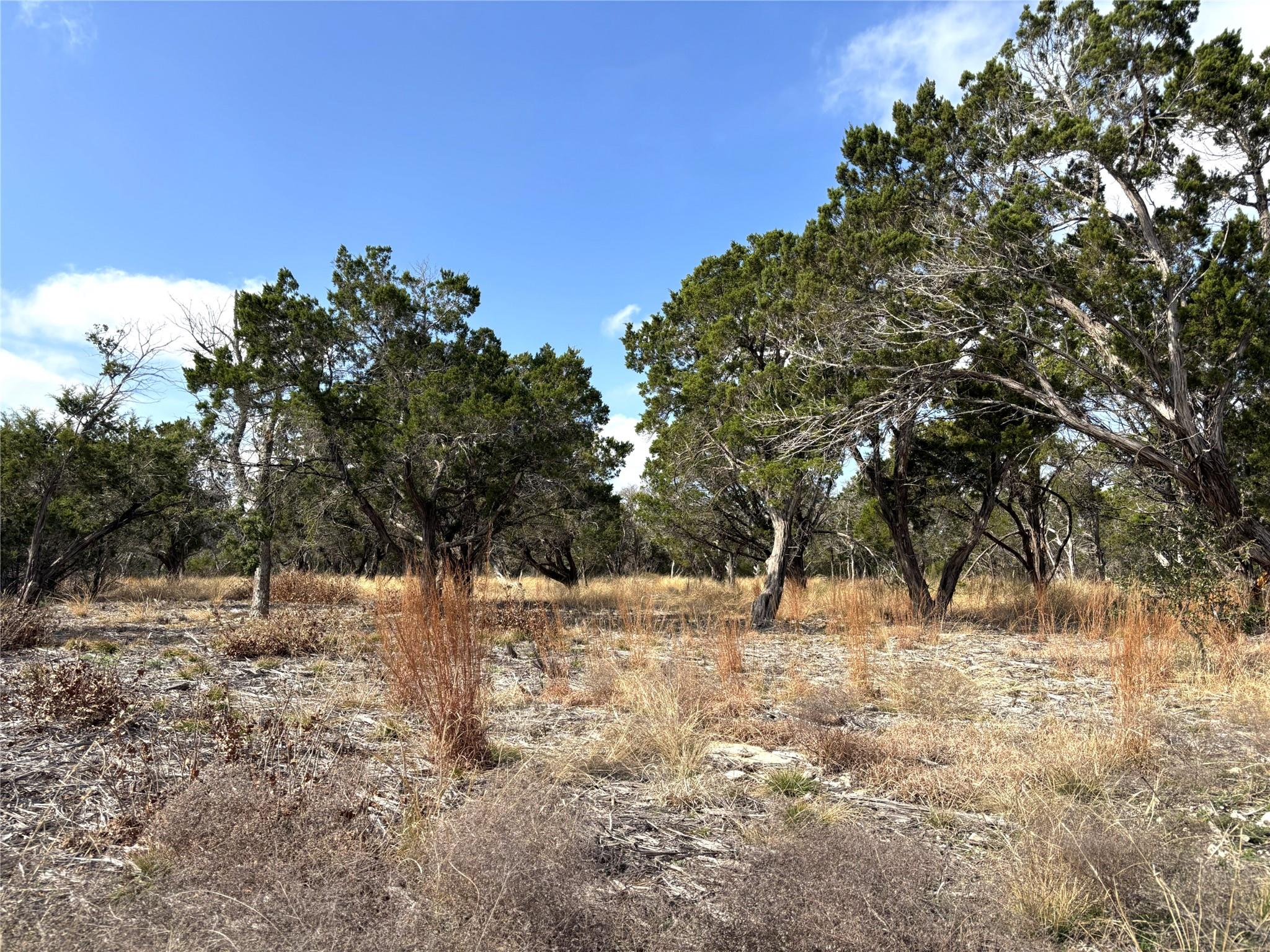 Tract 7 Burnet Oaks Burnet TX 78611