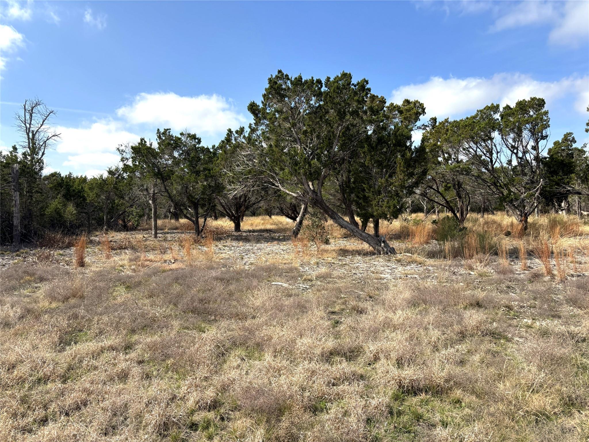 Tract 7 Burnet Oaks Burnet TX 78611