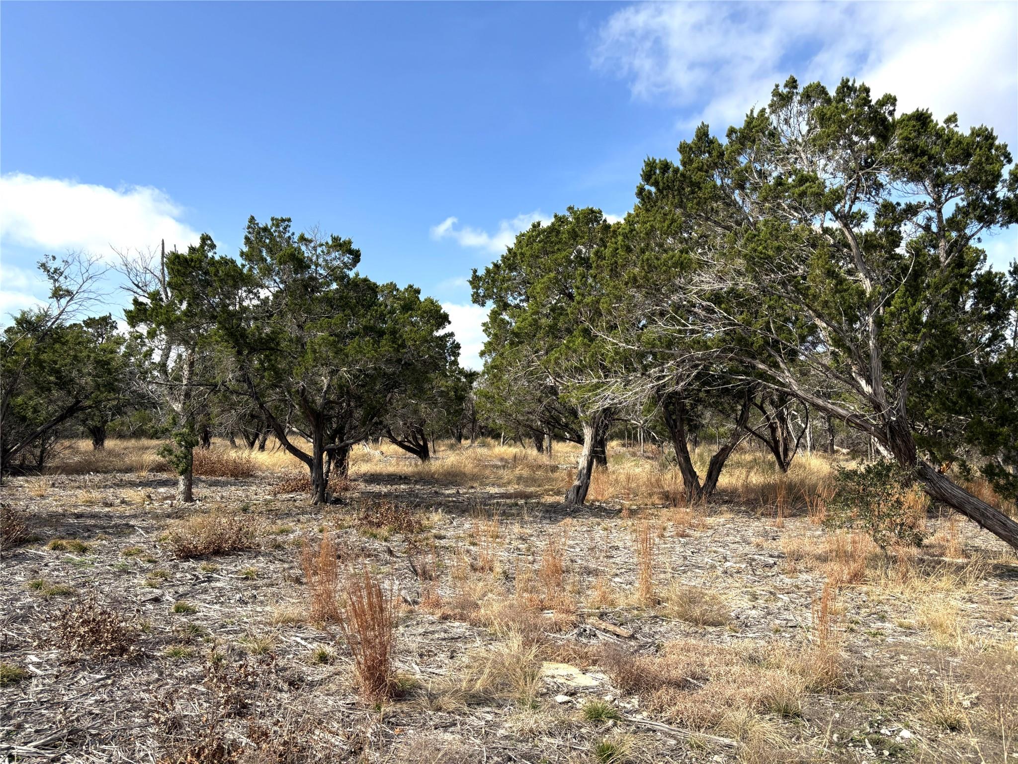 Tract 7 Burnet Oaks Burnet TX 78611