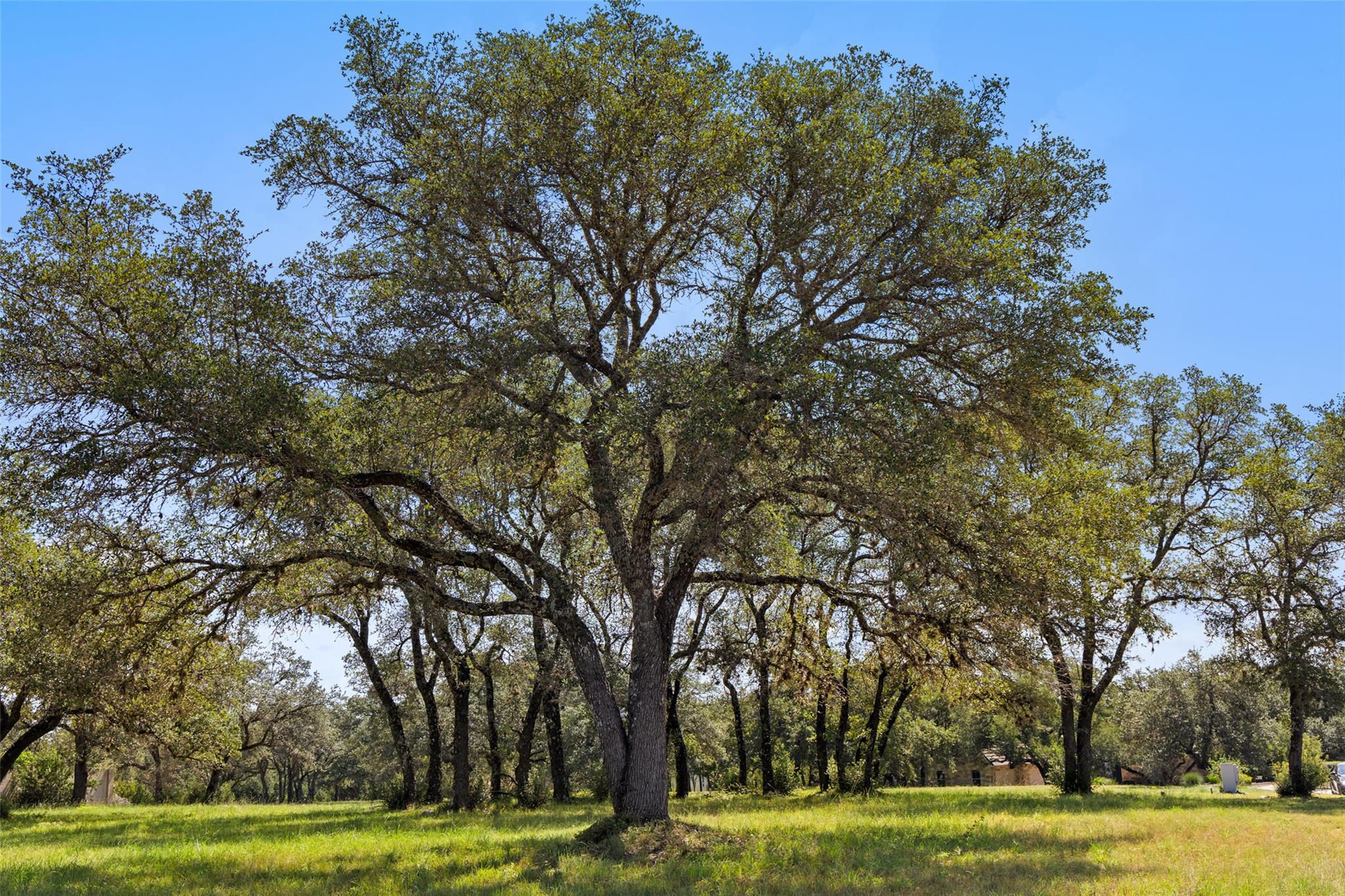 26309 Countryside Drive Spicewood TX 78669