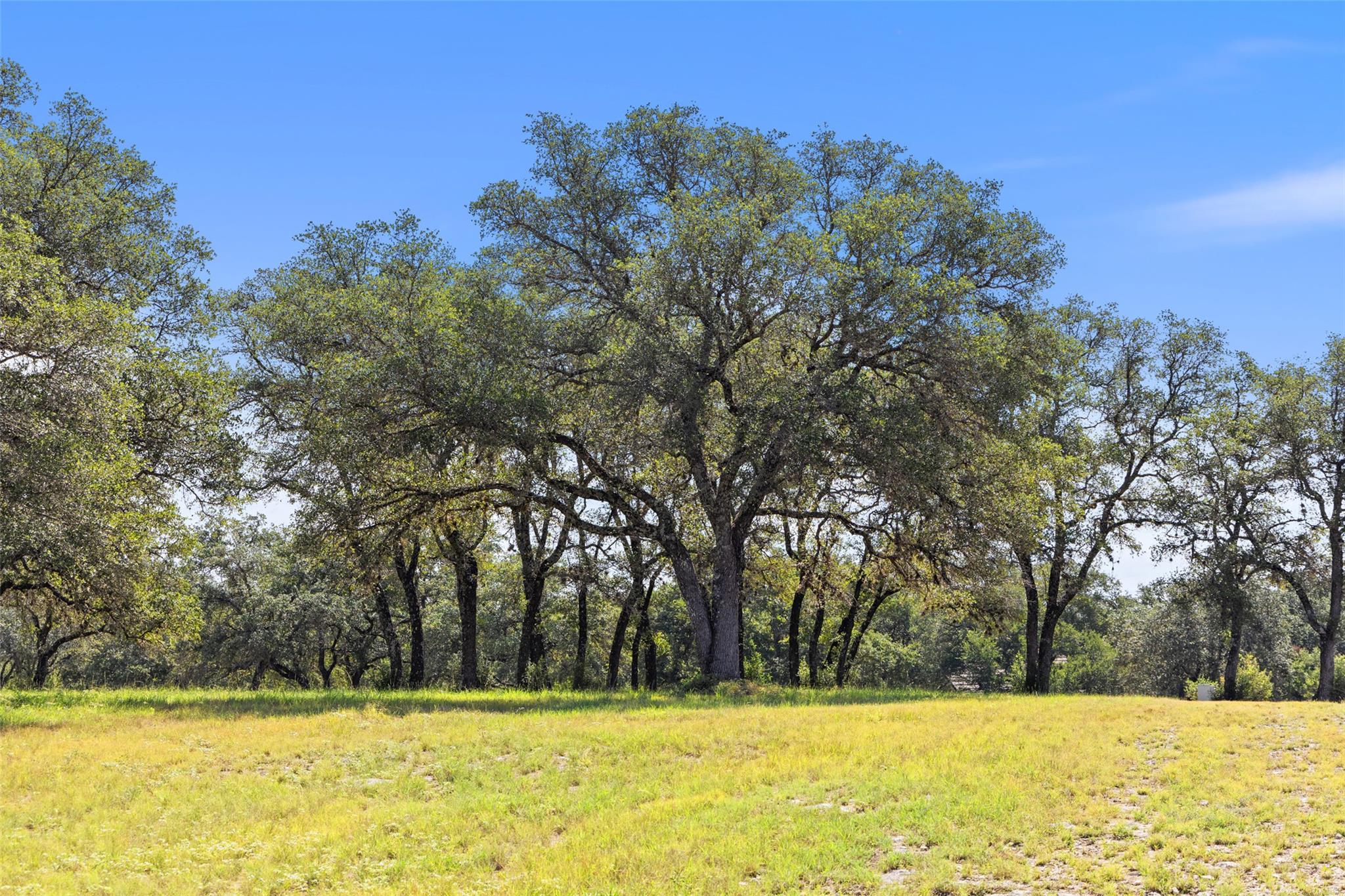 26309 Countryside Drive Spicewood TX 78669