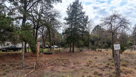 313 Dogwood Drive Caldwell TX 77836