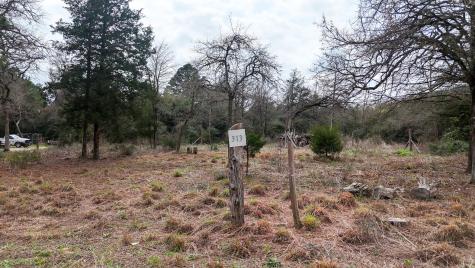 313 Dogwood Drive Caldwell TX 77836