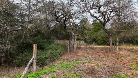 313 Dogwood Drive Caldwell TX 77836