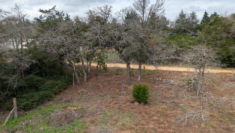 313 Dogwood Drive Caldwell TX 77836