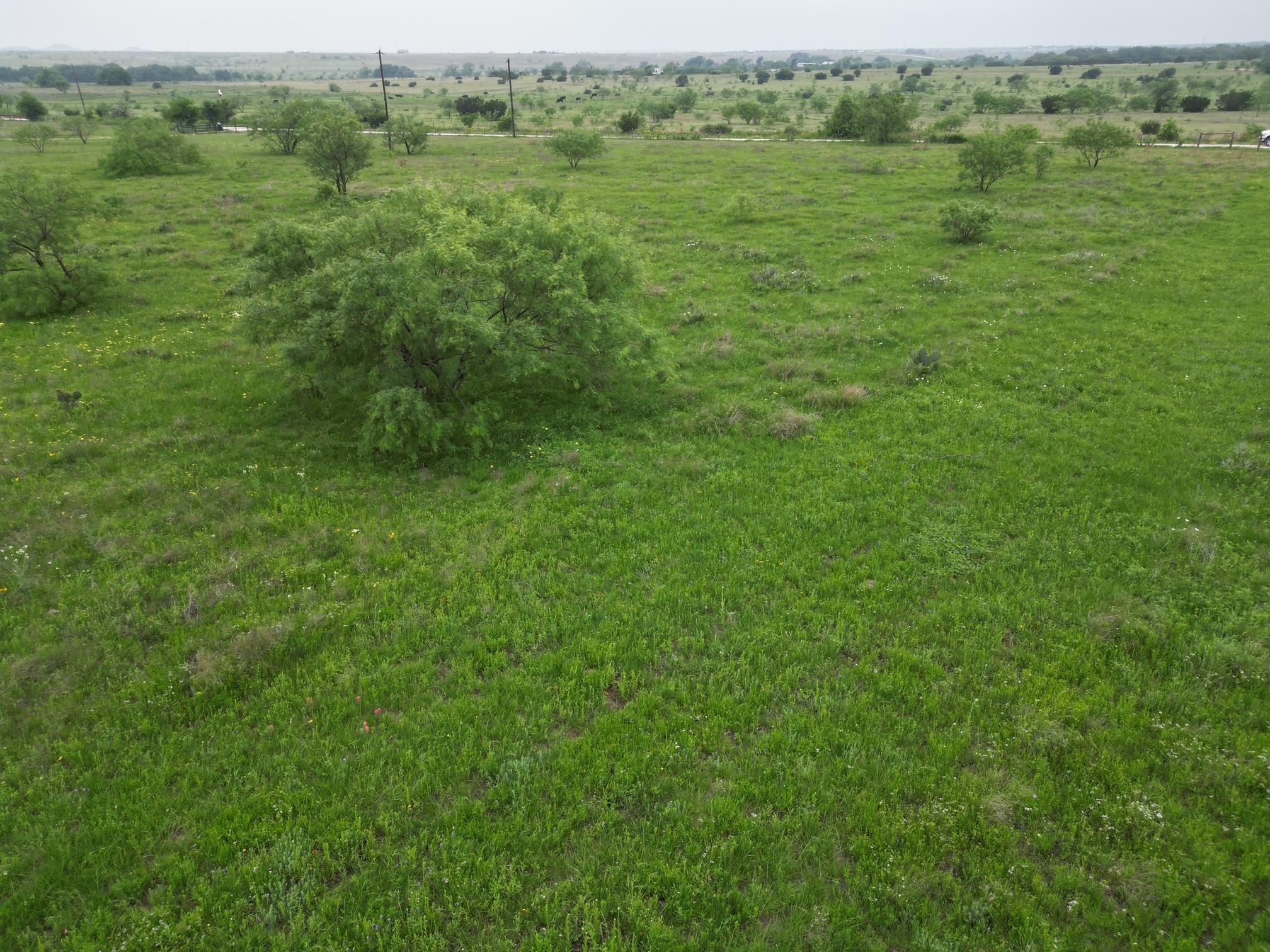 2332 County Road 2109 Lometa TX 76853