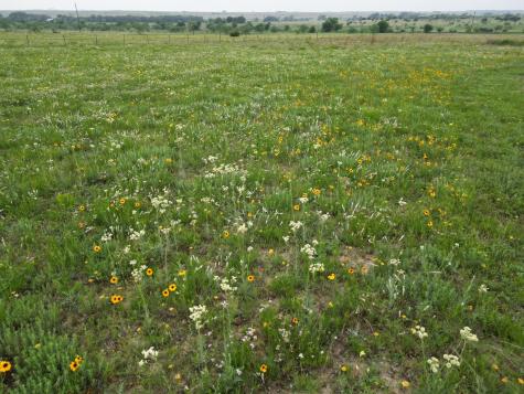 2332 County Road 2109 Lometa TX 76853