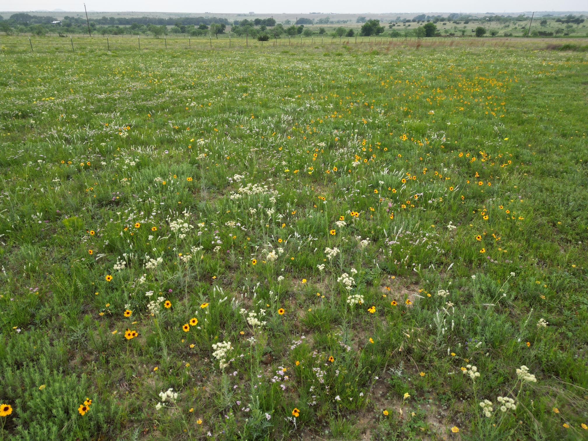 2332 County Road 2109 Lometa TX 76853