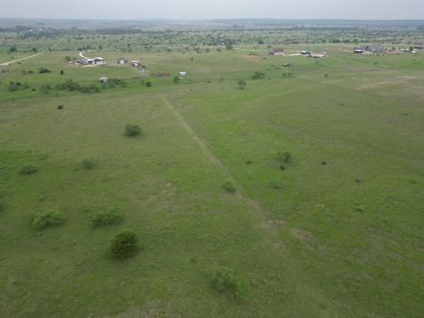 2332 County Road 2109 Lometa TX 76853